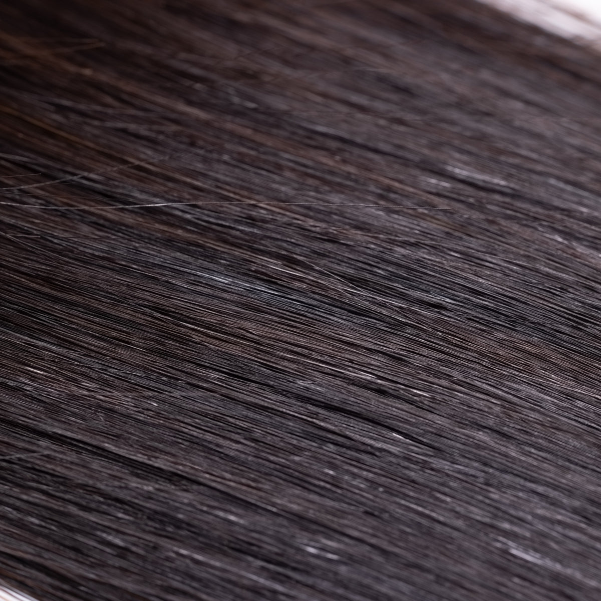 Vietnamese Virgin Straight